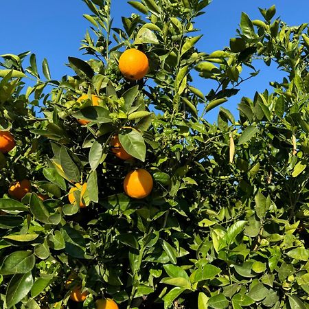 Finca Malata Turís Kültér fotó