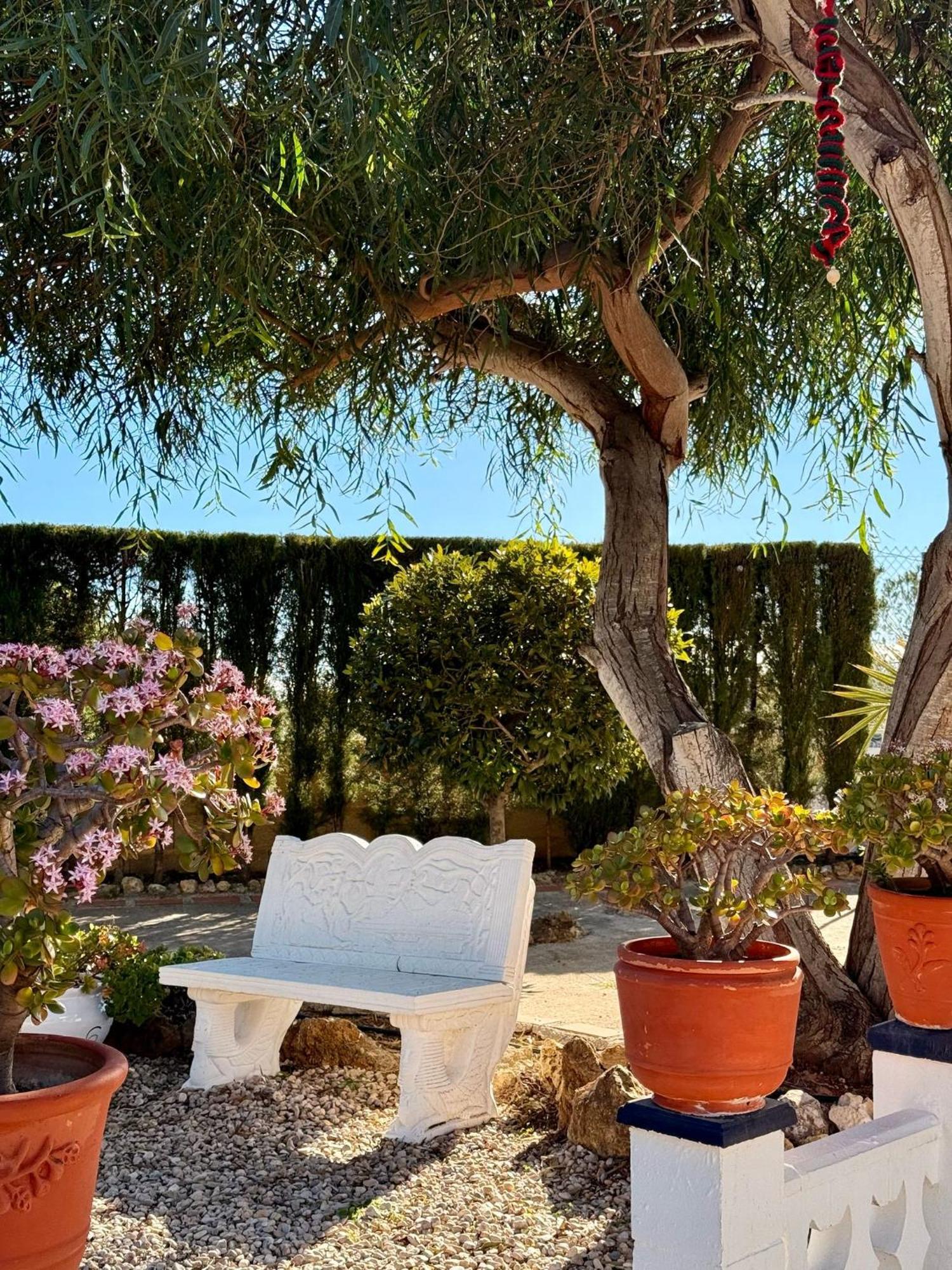 Finca Malata Turís Kültér fotó