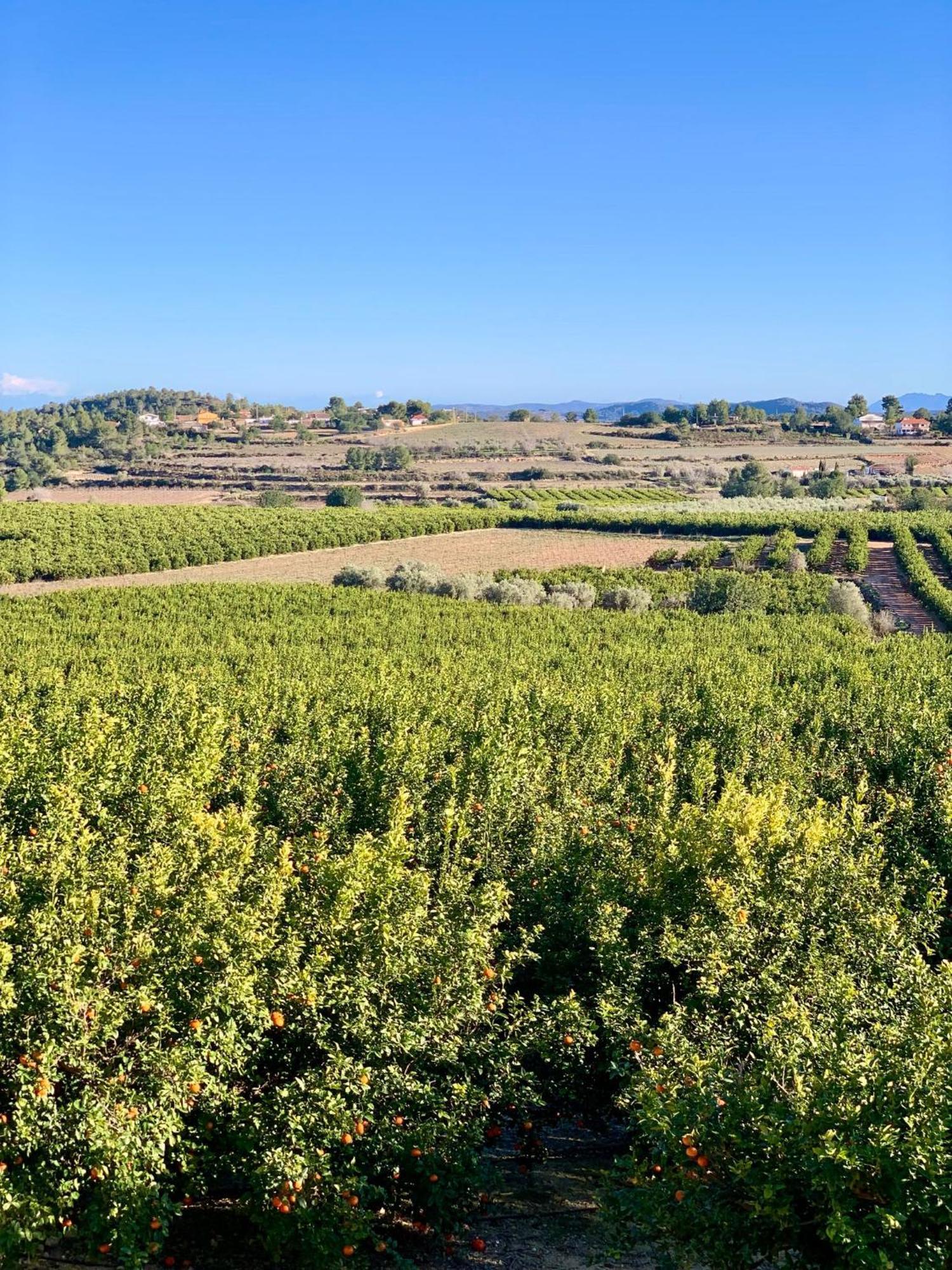Finca Malata Turís Kültér fotó